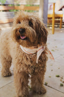 Bandana in Cream