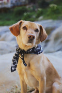 Bandana in Navy