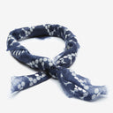 Apollo in Indigo