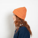 Francis in Orange