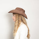 Ford in Brown