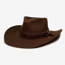 Yellowstone in Brown